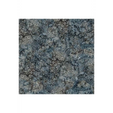 Bliss Glacier - DP23887-96